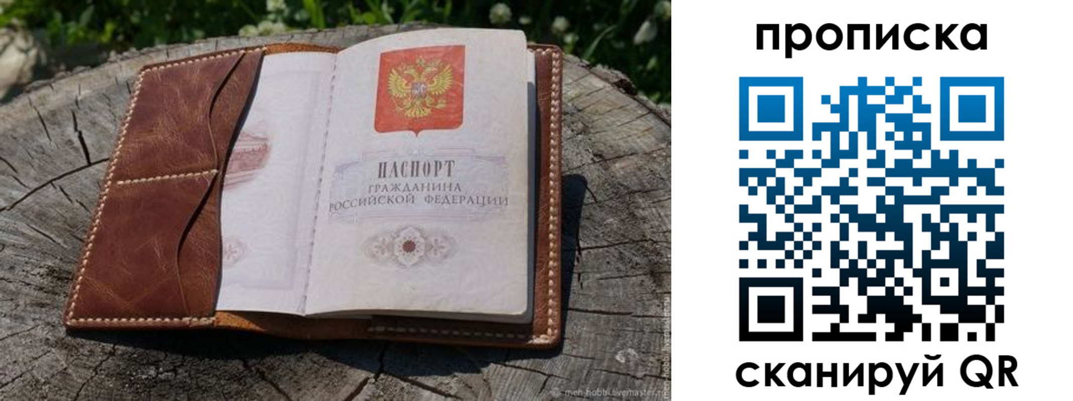 пропишу в квартире в Новом Осколе